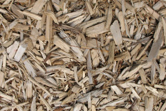 biomass boilers Tirphil